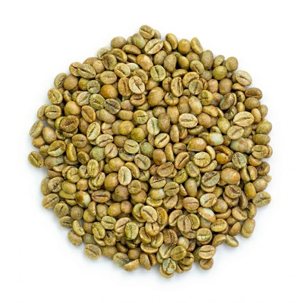 Cà phê Robusta Yellow Honey Aeroco