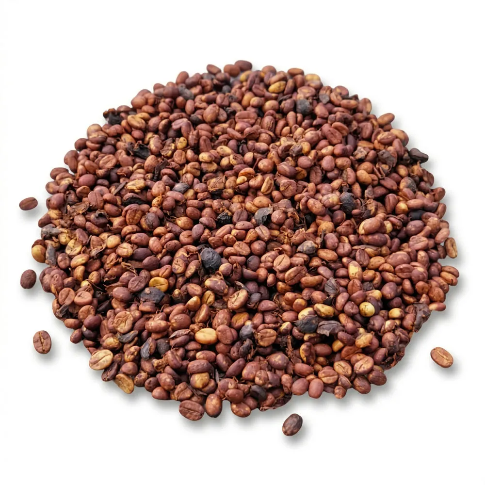 Cà phê nhân xanh Robusta Red Honey Aeroco